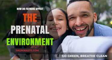 Paternal Influence: How Fathers Shape the Prenatal Environment and Child Development