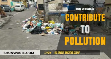Favelas: Unseen Pollution Havens