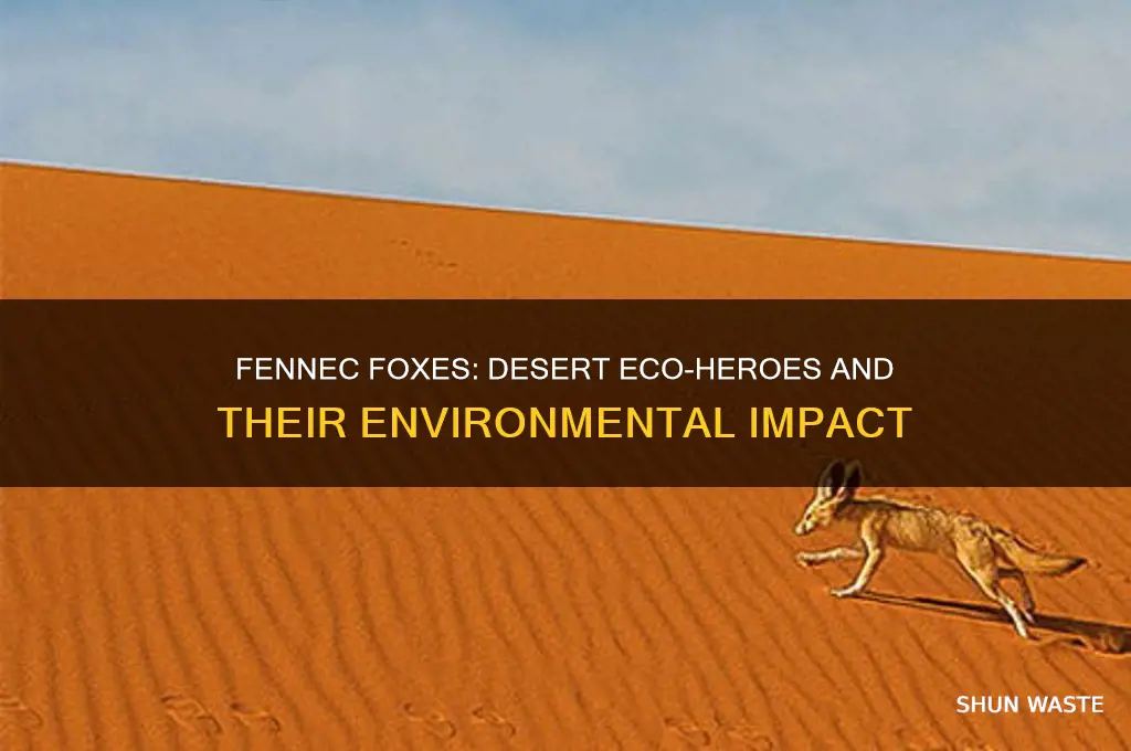 how do fennec foxes help the environment