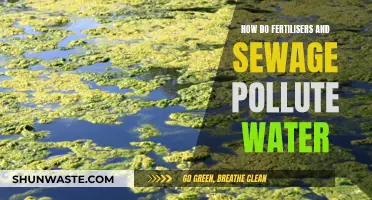 Fertilizers and Sewage: The Hidden Dangers of Water Pollution