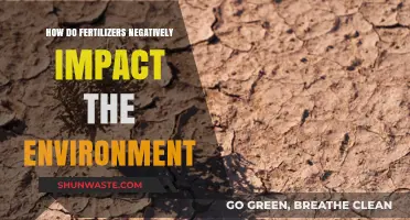 Fertilizers' Hidden Costs: Environmental Impacts and Sustainable Alternatives