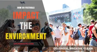 Festivals' Environmental Footprint: Celebrations, Waste, and Sustainability Challenges