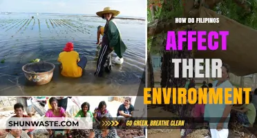 Filipinos' Environmental Impact: Challenges, Solutions, and Sustainable Practices