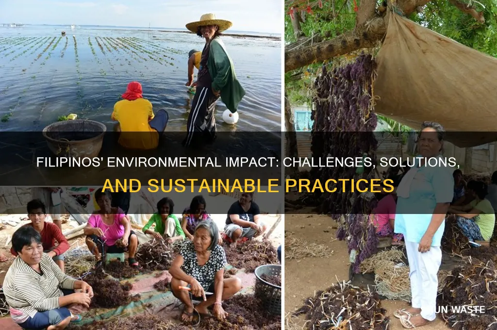 how do filipinos affect their environment