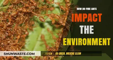 Fire Ants' Environmental Impact: Ecosystem Disruption and Biodiversity Loss Explained