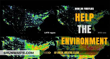 Fireflies' Ecological Impact: Illuminating Environmental Benefits and Conservation Needs