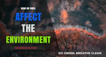 Wildfires' Devastating Impact: How Fires Shape and Harm Our Environment