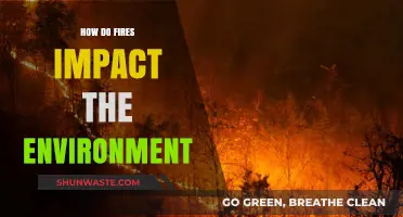 Wildfires' Environmental Toll: Air, Soil, and Ecosystem Consequences Explained