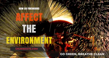 Fireworks' Environmental Impact: Pollution, Wildlife Disruption, and Sustainable Alternatives