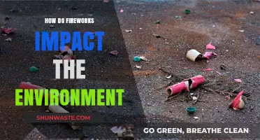 Fireworks' Environmental Impact: Pollution, Wildlife Disruption, and Sustainable Alternatives