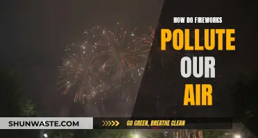 Fireworks: Lighting Up the Sky and Polluting Our Air