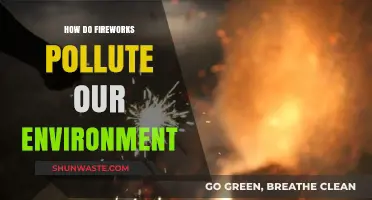 Fireworks: A Fun Festive Display, but at What Environmental Cost?