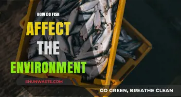 Fish's Environmental Impact: Exploring Their Role in Ecosystems and Beyond
