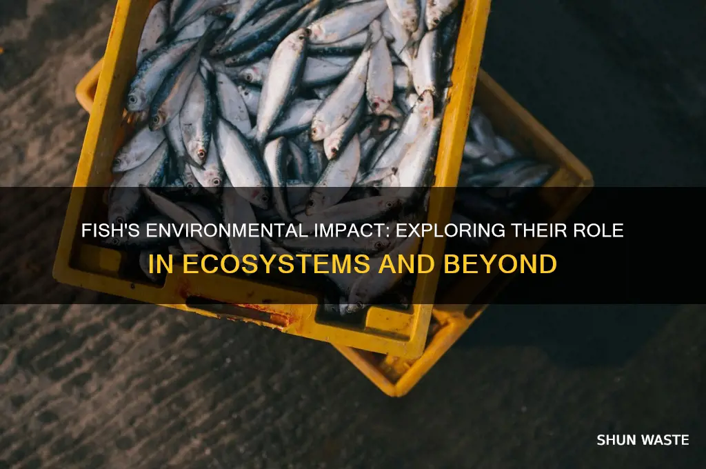 how do fish affect the environment