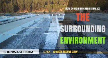 Fish Hatcheries: Environmental Impacts and Ecosystem Effects Explored