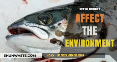 Fisheries' Environmental Impact: Exploring Ecosystem Changes and Sustainability Challenges