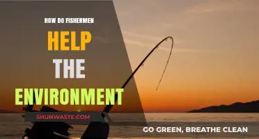 Sustainable Fishing Practices: How Fishermen Protect and Restore Ecosystems