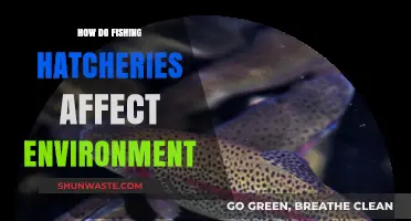 Fishing Hatcheries: Environmental Impact and Ecosystem Balance Explored