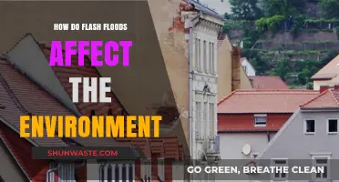 Flash Floods' Devastating Environmental Impact: Causes, Effects, and Solutions