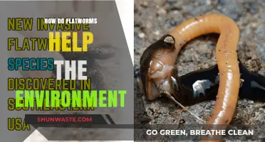 Flatworms' Ecological Role: Boosting Soil Health and Nutrient Cycling