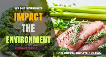 Flexitarian Diets: A Sustainable Path to Reduce Environmental Impact