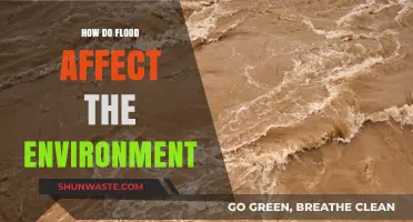 Floods' Environmental Impact: Ecosystem Disruption, Soil Erosion, and Pollution