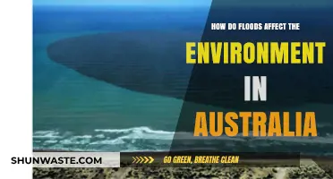 Floods in Australia: Environmental Impacts and Ecosystem Disruptions Explained
