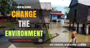Floods' Impact: Transforming Ecosystems, Landscapes, and Environmental Dynamics