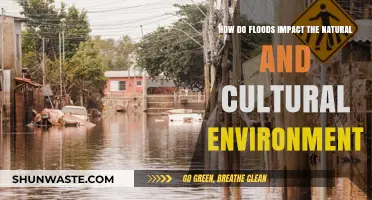 Floods' Dual Legacy: Shaping Nature and Cultural Landscapes