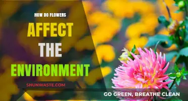 Blooming Benefits: How Flowers Positively Impact Our Environment