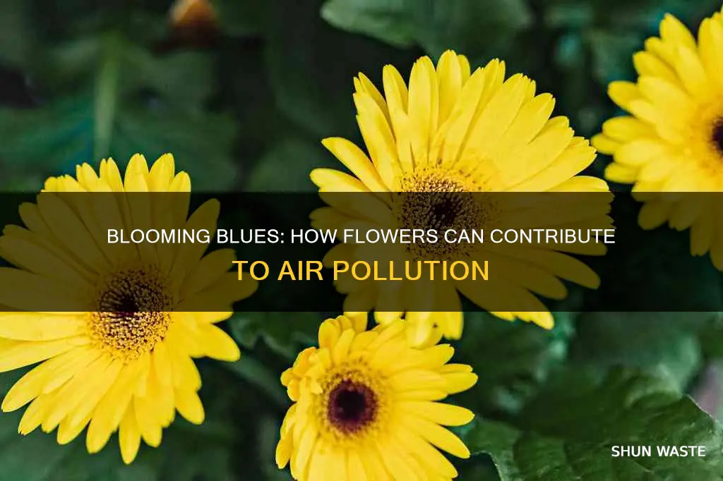 how do flowers cause air pollution