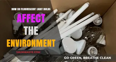 Environmental Impact of Fluorescent Light Bulbs: Benefits and Drawbacks Explained