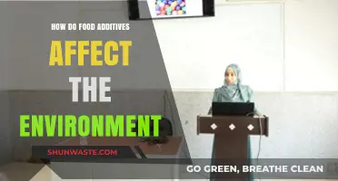 Environmental Impact of Food Additives: Uncovering Hidden Ecological Consequences