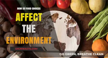 Sustainable Eating: How Your Food Choices Impact the Environment