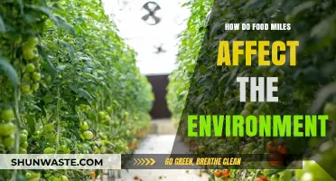 Food Miles Impact: Environmental Costs of Global Food Transportation
