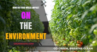 Food Miles: Uncovering Their Hidden Environmental Costs and Impact