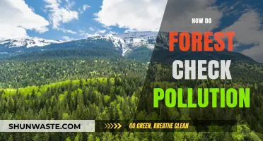 Forests: Nature's Pollution Solution