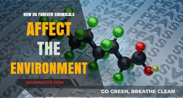 Forever Chemicals: Unseen Environmental Threats and Their Lasting Impact