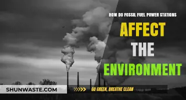 Fossil Fuel Power Stations: Environmental Impacts and Ecological Consequences