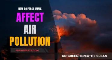 Fossil Fuels: Air Pollution's Primary Culprit