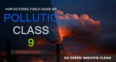 Unveiling the Dark Side: Fossil Fuels and Their Impact on Air Quality