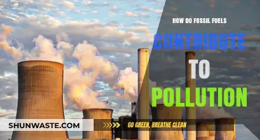 Fossil Fuels: A Major Pollution Contributor