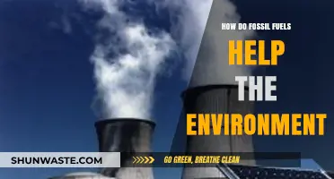 Fossil Fuels' Surprising Environmental Benefits: A Comprehensive Analysis