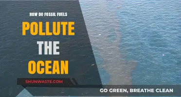 Ocean Pollution: Fossil Fuels' Toxic Legacy
