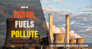 The Dark Side of Fossil Fuels: Pollution and Its Impact
