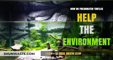Freshwater Turtles: Unsung Heroes Sustaining Aquatic Ecosystems and Biodiversity