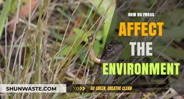 Frogs' Ecological Impact: How These Amphibians Shape Our Environment