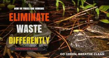Frogs vs. Humans: Unique Waste Elimination Methods Compared