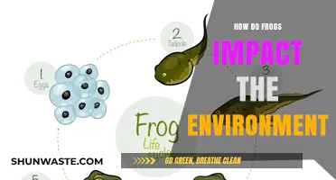 Frogs' Ecological Role: Shaping Ecosystems and Environmental Balance