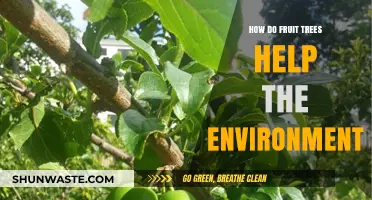 Fruit Trees: Nature's Eco-Heroes for a Greener, Healthier Planet